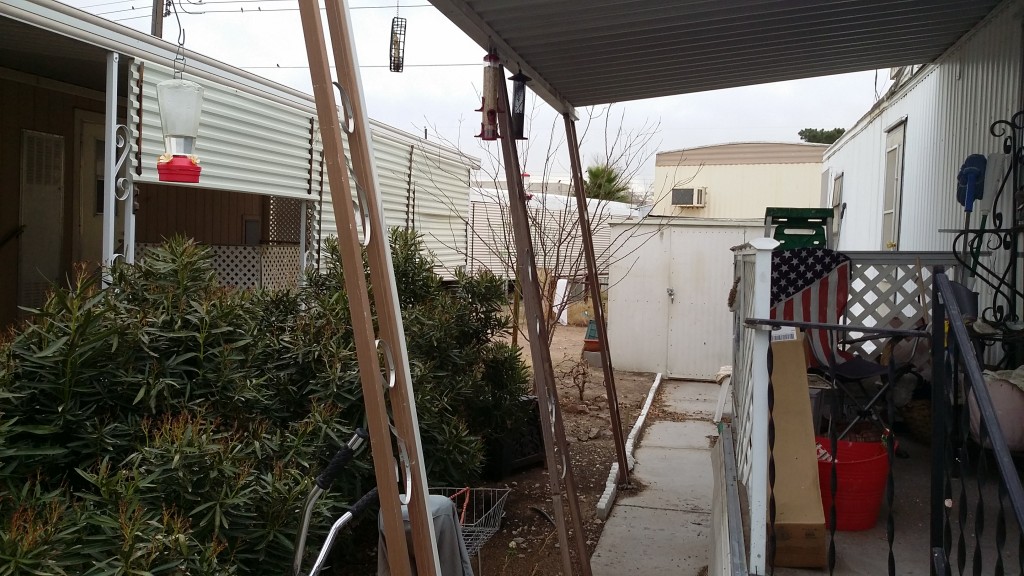 Bird Poop Vegetable Garden